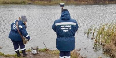 В реке Проня в Рязанской области обнаружили превышение по меди и цинку