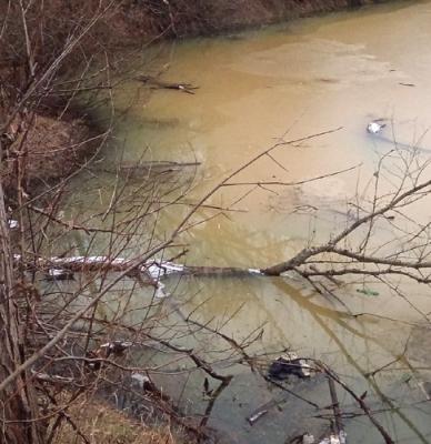 Рязанцы пожаловались на воду неестественного цвета в ручье Быстрец