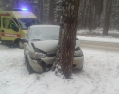 В Солотче «Калина» врезалась в дерево, пострадали женщина-водитель и два ребёнка