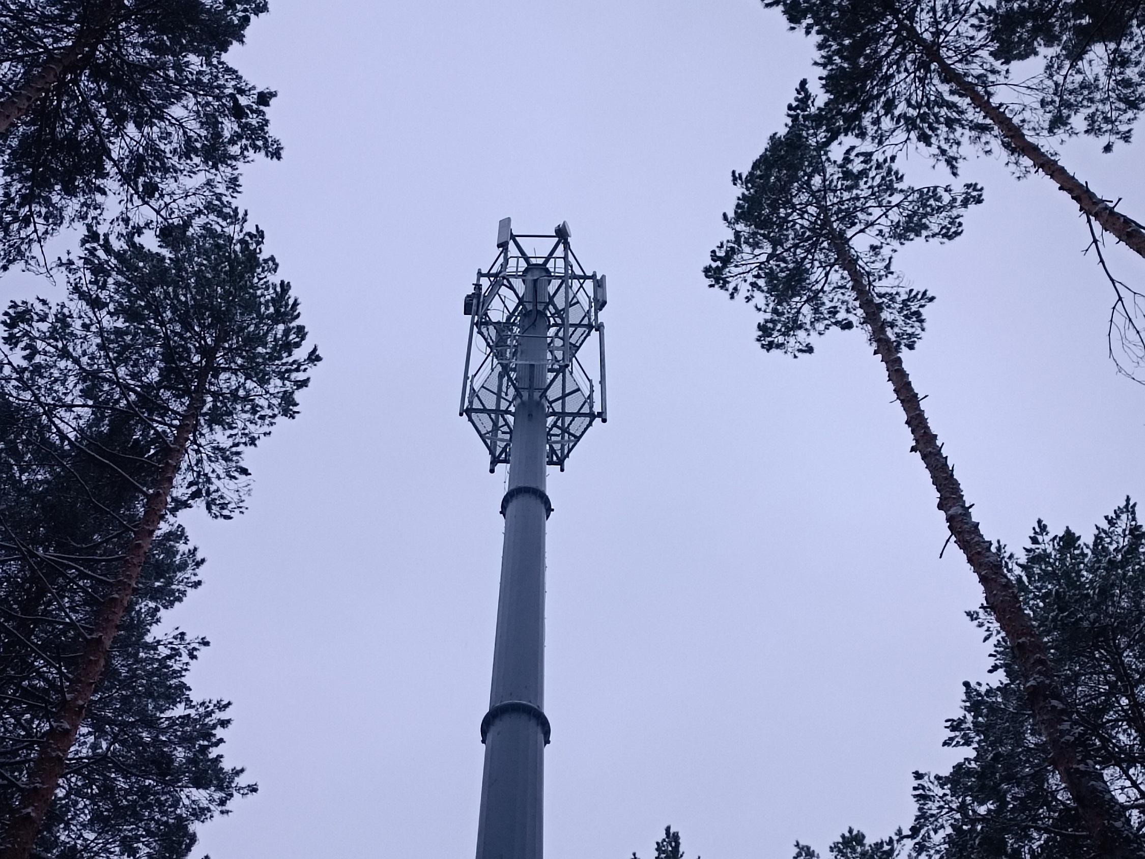 На озере Сельном в Выползово Спасского района теперь доступна «цифровая»  рыбалка