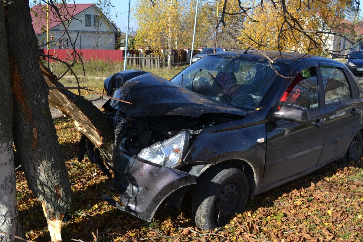 В Пронске автомобиль врезался в дерево