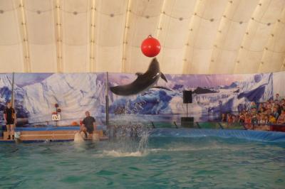 В Рязани открылся единственный в Европе передвижной дельфинарий