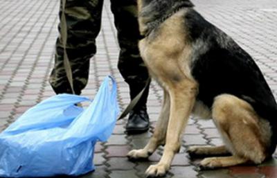 После обнаружения бесхозной сумки был оцеплен участок на улице Есенина