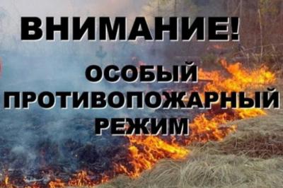 В выходные рязанские леса будут усиленно патрулировать