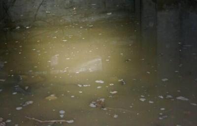 В Рязани канализация затопила дом на улице Высоковольтной