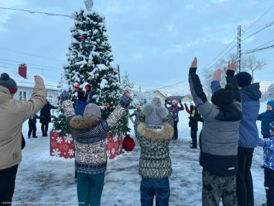 На территориях ТОС в Рязани проходят новогодние праздники дворов и посёлков