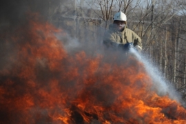 Близ Шилово в огне сгинул жилой дом