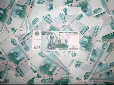 Рязанцы могут потратить 20 000 рублей из материнского капитала по своему усмотрению