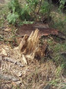 SDC19077JPG.jpg title=