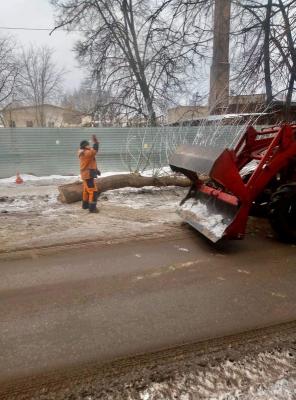 Аварийное дерево на улице Шевченко спилили