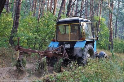 В Солотче проводят опашку территорий, чтобы предупредить лесные пожары