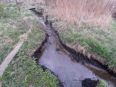 Специалисты Рязанской НПК очистили от мазута ручей Песоченка