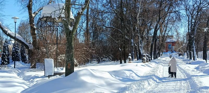 В Рязани 21 февраля возможен снег