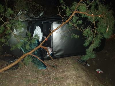 В Рязанском районе пьяный водитель опрокинулся в кювет и врезался в дерево