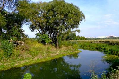Готовится проект планировки территории в пойме рек Павловка, Плетёнка и Трубеж в Рязани