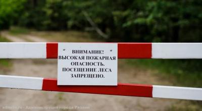 В Рязанской области введут особый противопожарный режим