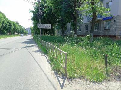 Рязанские архитекторы объяснили, где нужна «дезаборизация»