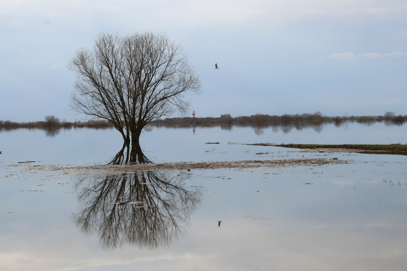 Старт сап-фестиваля «Рязанское море» перенесли в Борковской затон