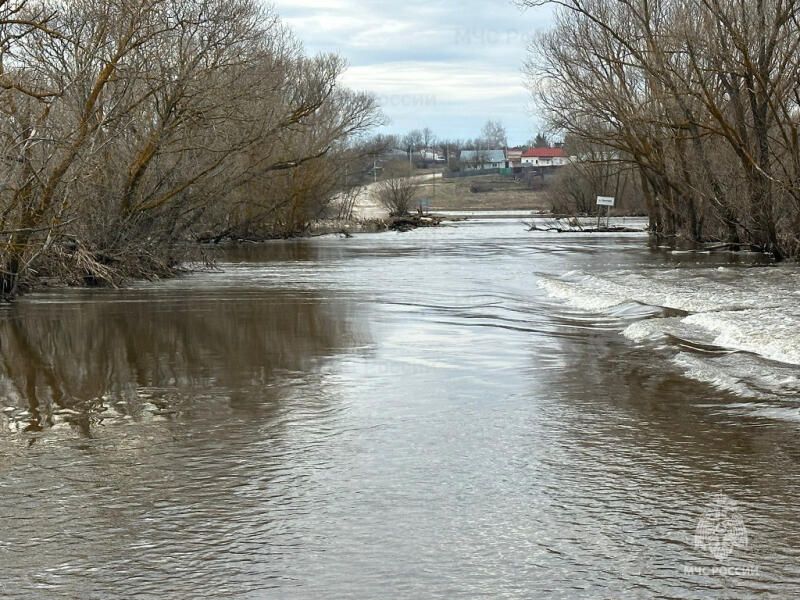 Уровень воды в Оке в черте Рязани поднялся сразу на 26 сантиметров