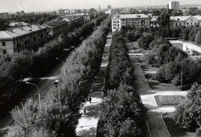 Рязанские урбанисты предлагают мэрии вернуть деревья на улицы города