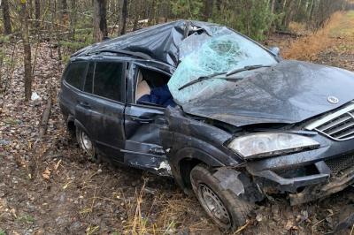 Близ Спас-Клепиков Ssang Yong влетел в дерево