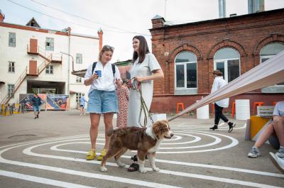 Составлен список догзфрендли гостиниц Рязани