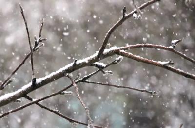 В Рязанском регионе ожидается небольшой снег