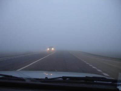 Рязанскую область окутал туман