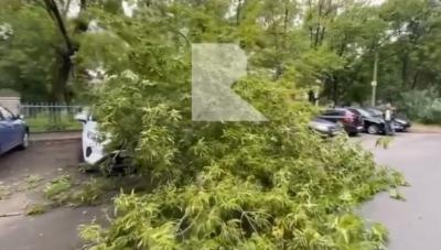 Фото: группа «Rzn life l Рязань l Рзн лайф» в соцсети «ВКонтакте»