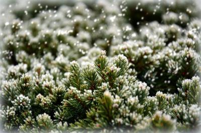 В Рязани ожидается значительное похолодание и снег