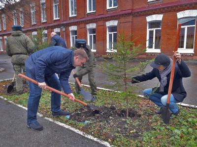 Активисты ОНФ и курсанты спецназа высадили берёзово-еловую аллею героев