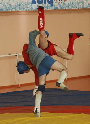 Завершились чемпионат и первенство Рязанской области по боевому самбо