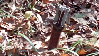В лесу под Скопином грибники нашли снаряд