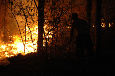 Верховой пожар зафиксирован между сёлами Мурмино и Долгинино Рязанского района