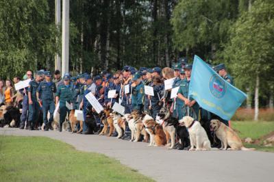 Под Рязанью встретились лучшие в ЦФО собаки-спасатели 
