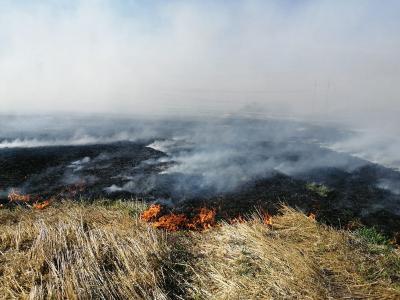 В районе ЧП в Скопинском районе продолжает гореть трава