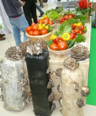 Аграрии Рязанщины побывали на Первом форуме овощных культур
