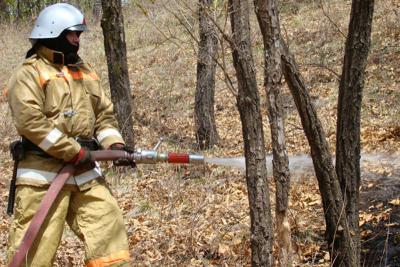Пожароопасный сезон в лесах Рязанщины ещё не окончен