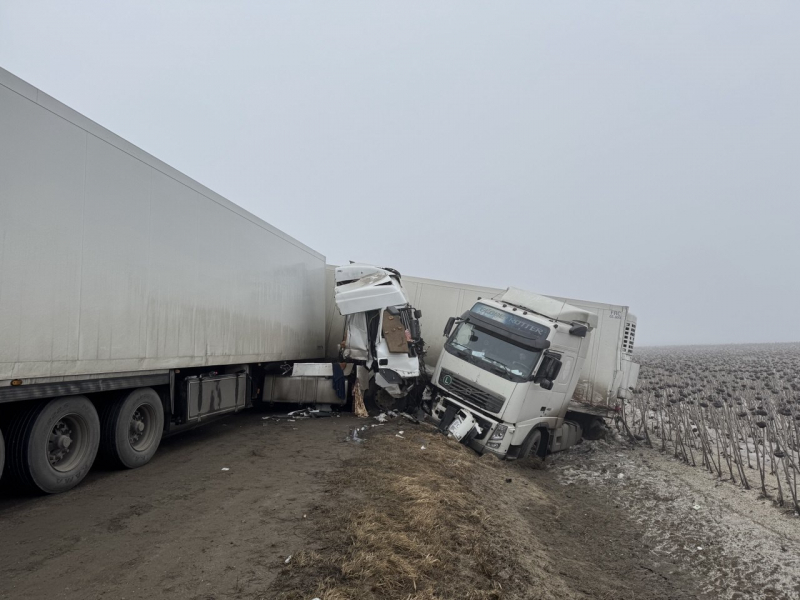 Под Скопином не разъехались две фуры, пострадали два человека