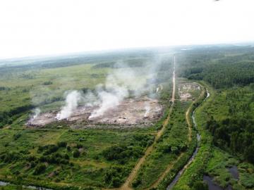 Авиаразведка лесов Рязанщины не выявила пожаров