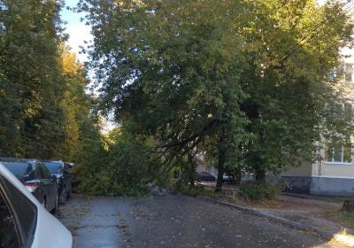 Ураганный ветер повалил деревья в Рязани