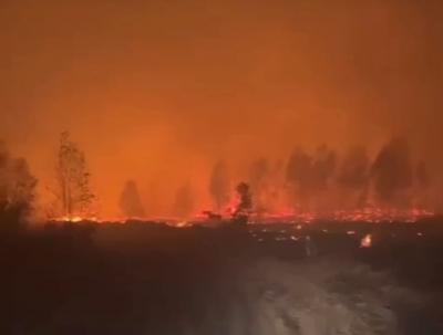 Лесные пожары в Рязанской области прошли больше 15 тысяч гектаров