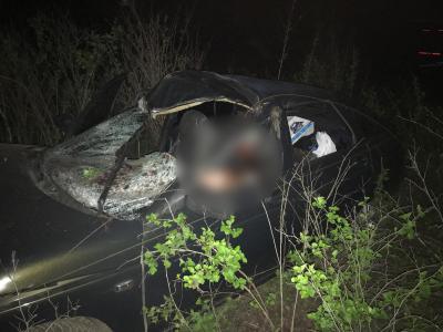 Близ Шилово в ДТП погиб водитель, сбивший на дороге лося