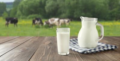 Россельхозбанк: Может ли стартап на молоке стать бизнесом мечты