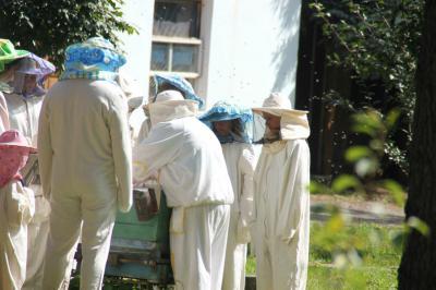 В Ряжском районе наказали пчеловода
