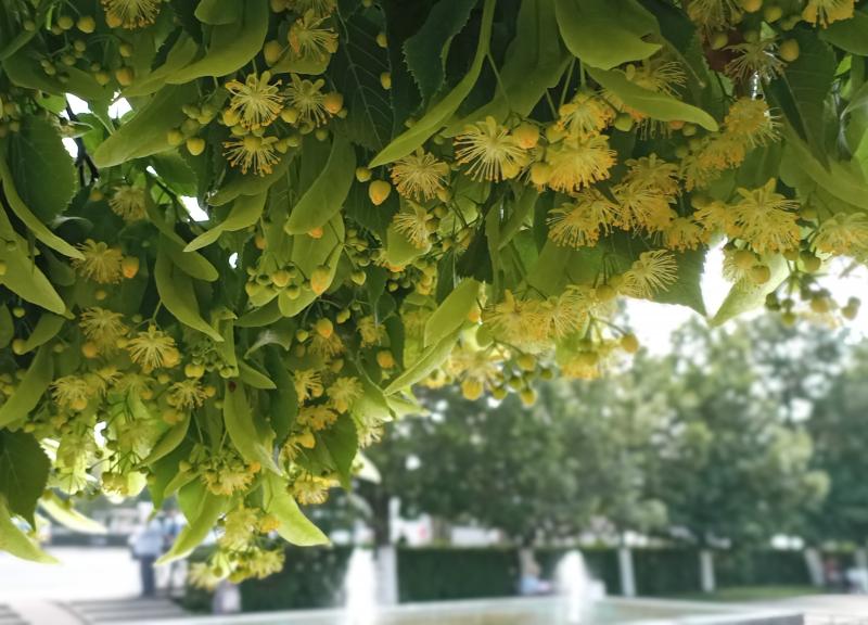 Рязанцам пообещали дожди и грозы