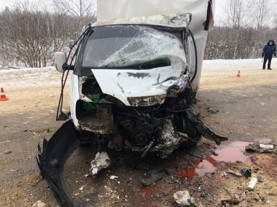 Близ Касимова столкнулись два грузовика, пострадали оба водителя