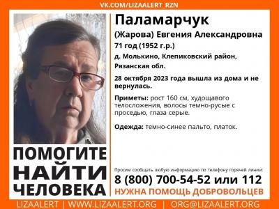 Фото: группа «Поисковый отряд «ЛизаАлерт» Рязанской области» в соцсети «ВКонтакте»