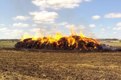 В Рязанской области горит сено