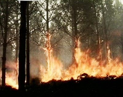 Завершился пожароопасный сезон в Рязанской области